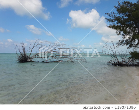 White sand beach with clear blue water White sand beach with clear blue water 119071390