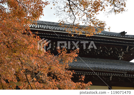 南禪寺法堂 秋天 119071470