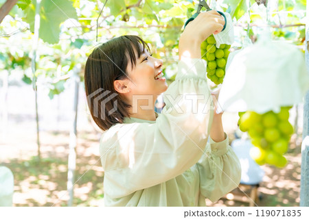 摘葡萄的女人 摘水果的女人 119071835