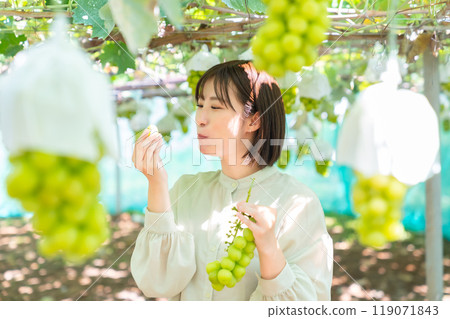 A woman picking grapes A woman picking fruit 119071843