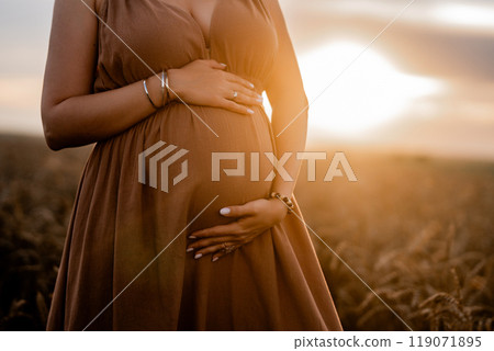 Unrecognizable Future Mother Expecting Baby. Health Pregnancy, Happy Motherhood 119071895