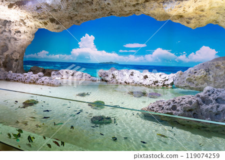 再現天空和海岸線的空間 DMM 喜璃愈志水族館 沖繩縣豐見城市 119074259