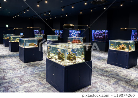 美麗的熱帶魚缸 DMM Kariyushi Aquarium 沖繩縣豐見城市 119074260