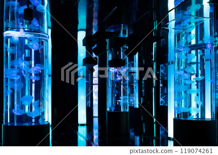 A world of jellyfish with huge cylindrical tanks lined up in a fantastical and relaxing atmosphere DMM Kariyushi Aquarium Tomigusuku City, Okinawa Prefecture 119074261