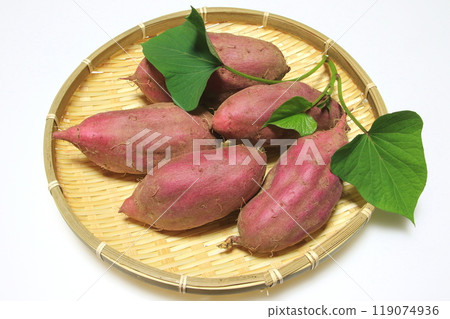 Freshly picked sweet potatoes (Beni-Azuma) Freshly picked sweet potatoes (Beni-Azuma) 119074936