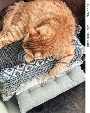 Cute ginger tabby cat laying on top of pile  freshly washed rugs 119075561
