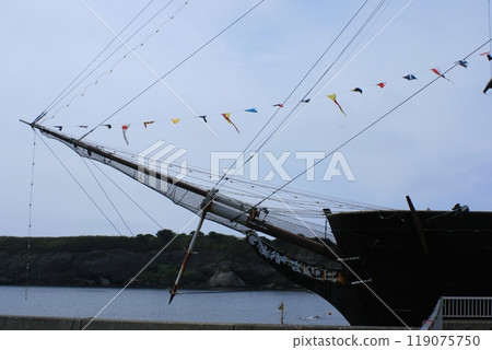 Kaiyo Maru Tip 119075750