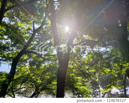 Hotel Chinzanso Tokyo Light Hotel Chinzanso Tokyo Light 119076527