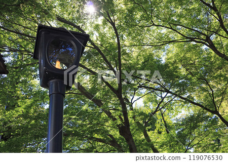 Gas lamps at Morioka Castle Ruins Park Gas lamps at Morioka Castle Ruins Park 119076530