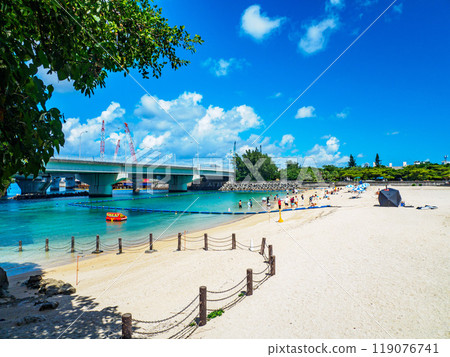 海灘上的海浪 119076741