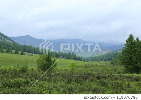 Landscape of Terelj National Park, Mongolia 119076786