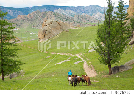 蒙古特日勒吉國家公園的馬嚮導 119076792