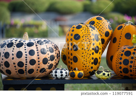 Colorful polka dot painted pumpkins outdoor display 119077591