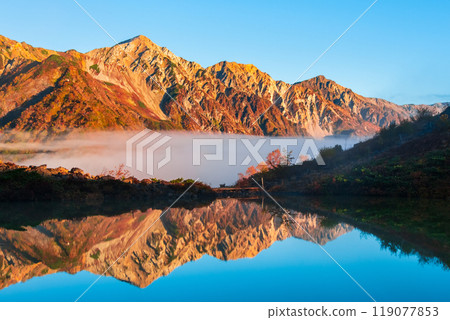 秋季攀登唐松岳（八方池、黎明時分的白馬三山） 119077853