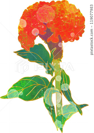 秋花圖雞冠花 秋花圖雞冠花 119077983