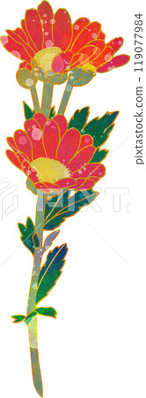 Autumn flower illustration: Small chrysanthemum Autumn flower illustration: Small chrysanthemum 119077984
