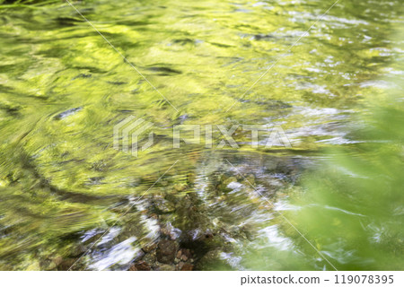 A sparkling image of a clear stream in the forest: Oyamakiyazawa mountain stream 119078395