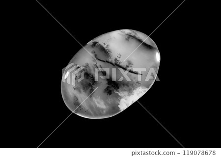 Dendritic Agate A stone that harbors landscapes Dendritic Agate A stone that harbors landscapes 119078678