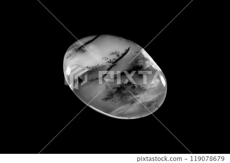 Dendritic Agate A stone that harbors landscapes 119078679