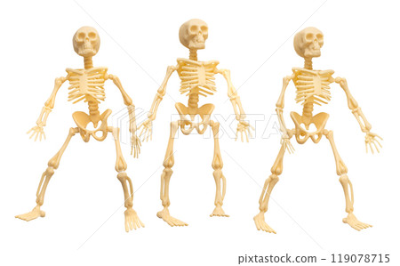 Plastic Halloween Skeleton  for Halloween decoration isolated on background 119078715