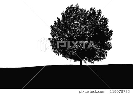 tree silhouette. big tree silhouette. oak tree silhouette. black oak tree isolated on white background. cutout trees. hand drawn design. vector illustration. 119078723