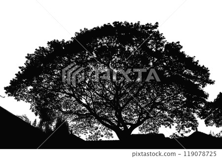 tree silhouette. big tree silhouette. oak tree silhouette. black oak tree isolated on white background. cutout trees. hand drawn design. vector illustration. 119078725