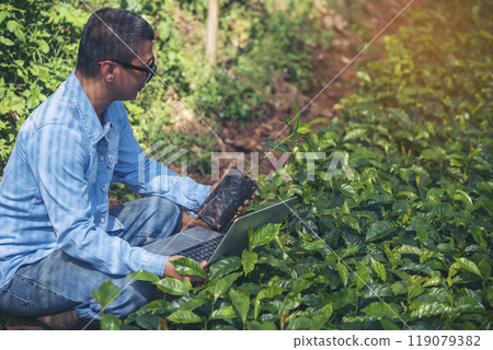 Smart farmer using laptop in eco green farm sustainable quality control. Close up Hand typing laptop computer quality control plant tree. Farmer hands using technology in eco Farmland biotechnology 119079382