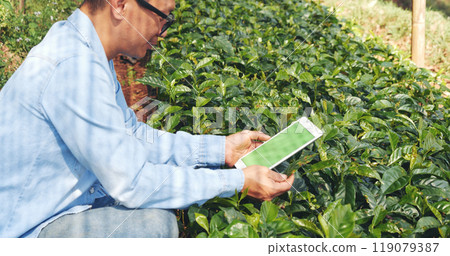 Smart farmer using laptop in eco green farm sustainable quality control. Close up Hand typing laptop computer quality control plant tree. Farmer hands using technology in eco Farmland biotechnology 119079387