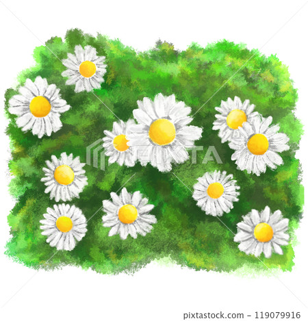 Daisy flowers on grass artistic illustration Daisy flowers on grass artistic illustration 119079916