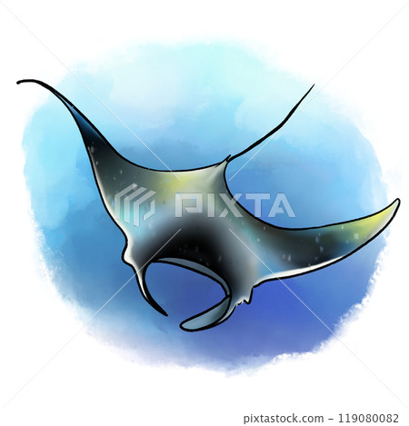 Manta drawing in sea background, sea animal manta isolated illustration Manta drawing in sea background, sea animal manta isolated illustration 119080082