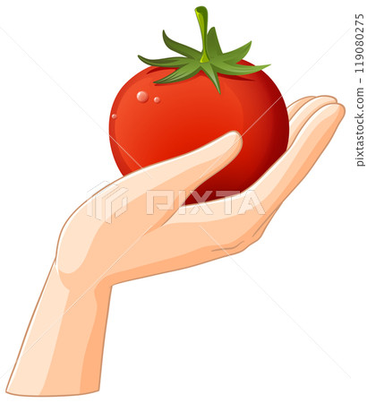 Hand Holding a Tomato Hand Holding a Tomato 119080275