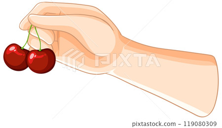 Hand Holding Fresh Red Cherries 119080309