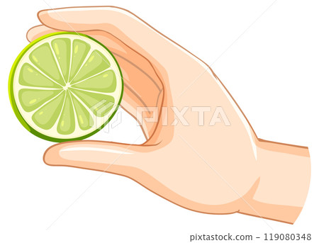 Hand Holding a Fresh Lime Slice Hand Holding a Fresh Lime Slice 119080348