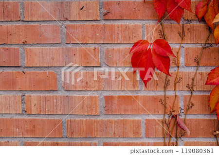 Red ivy leaves entwined around a brick wall 119080361