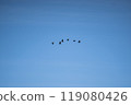 Moving 119080426