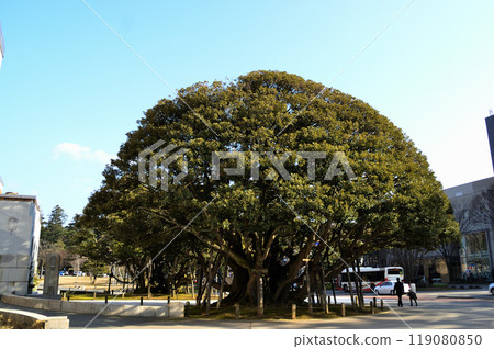 Ishikawa Prefectural Government Shiinoki Guest House in Kanazawa City, Ishikawa Prefecture 119080850