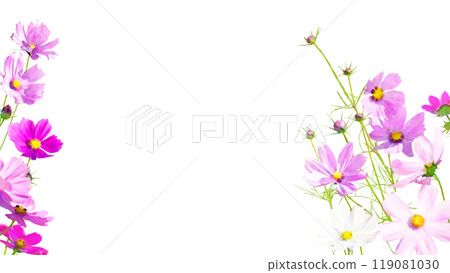 透明插畫框-秋櫻花(16:9) 透明插畫框-秋櫻花(16:9) 119081030