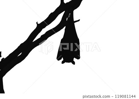 Black silhouettes of bats set on white background Black silhouettes of bats set on white background 119081144