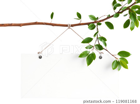 A white wooden sign hanging from a tree branch 119081168