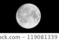  滿月 119081339