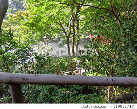 Hotel Chinzanso Tokyo Tree 119081717