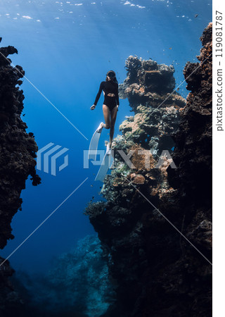 Female freediver swims in underwater canyon near Menjangan island, Bali. Female freediver swims in underwater canyon near Menjangan island, Bali. 119081787