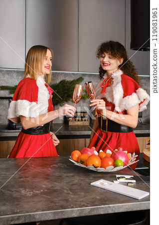 Two women in christmas dress clinking glasses 119081961
