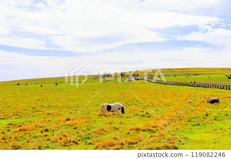 九月的美原高原 - 信州的自然 119082246