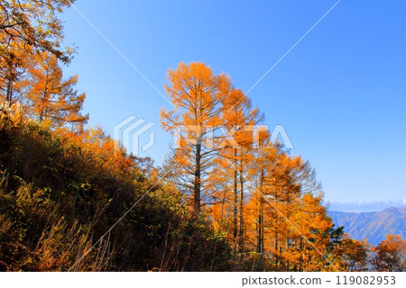 Mount Ogami in November - Nature of Shinshu Mount Ogami in November - Nature of Shinshu 119082953