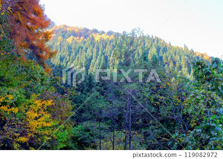 Mount Ogami in November - Nature of Shinshu Mount Ogami in November - Nature of Shinshu 119082972