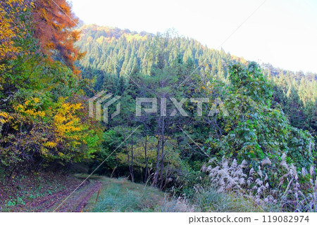 Mount Ogami in November - Nature of Shinshu Mount Ogami in November - Nature of Shinshu 119082974