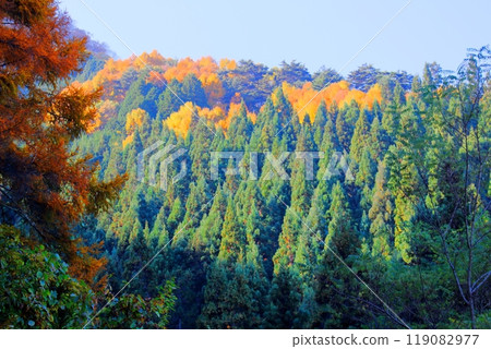 Mount Ogami in November - Nature of Shinshu Mount Ogami in November - Nature of Shinshu 119082977