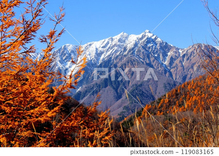 Northern Alps and Autumn Leaves - Nature of Shinshu 119083165