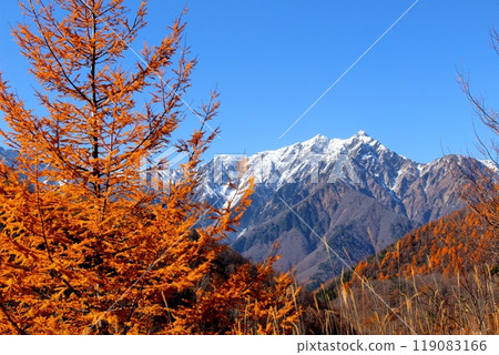 Northern Alps and Autumn Leaves - Nature of Shinshu 119083166